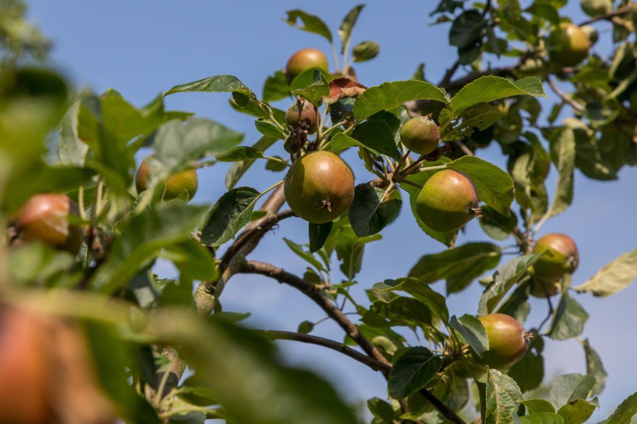 De Notenboom Meliskerke المظهر الخارجي الصورة